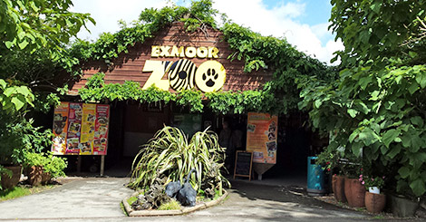 Exmoor Zoo