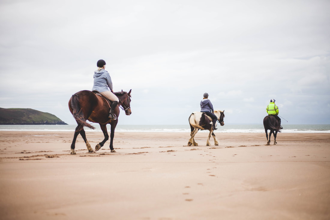 Horse Riding