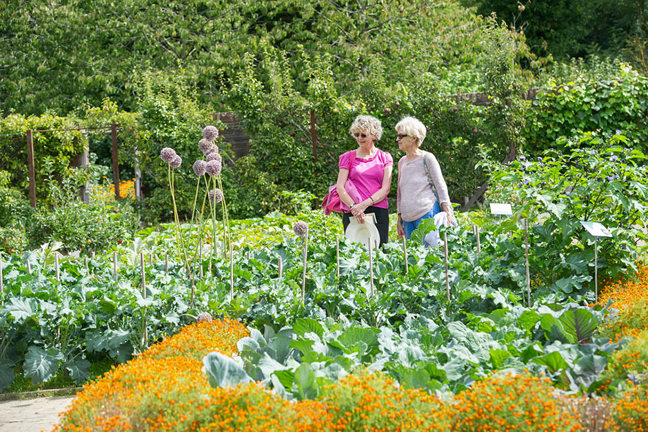 RHS Garden Rosemoor